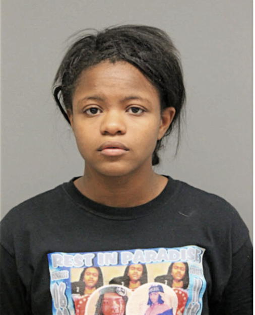 JESSICA E GOODMAN, Cook County, Illinois