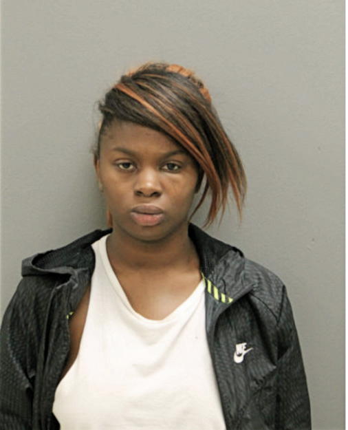 DESTINY L GREYER, Cook County, Illinois