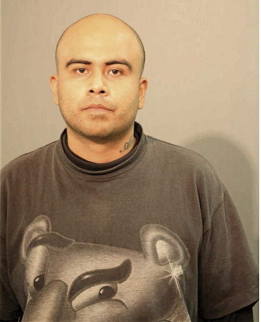 ROLANDO GUZMAN, Cook County, Illinois