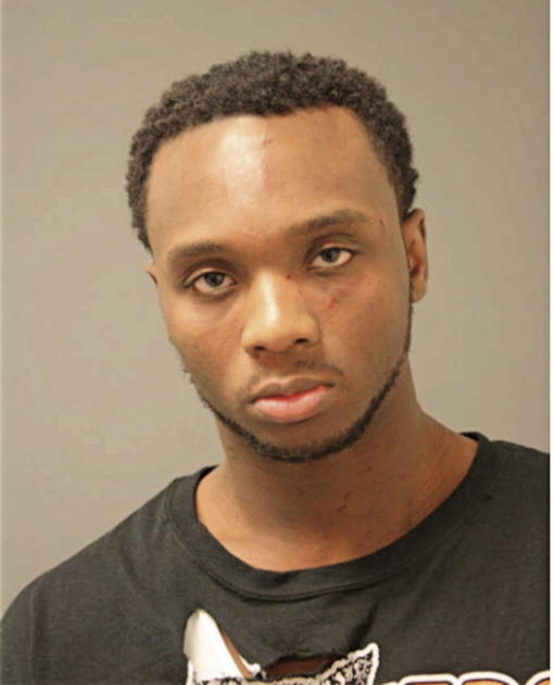 ANTHONY L JENKINS, Cook County, Illinois