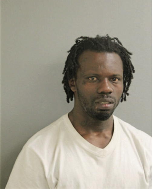LOUIS J JOHNSON, Cook County, Illinois