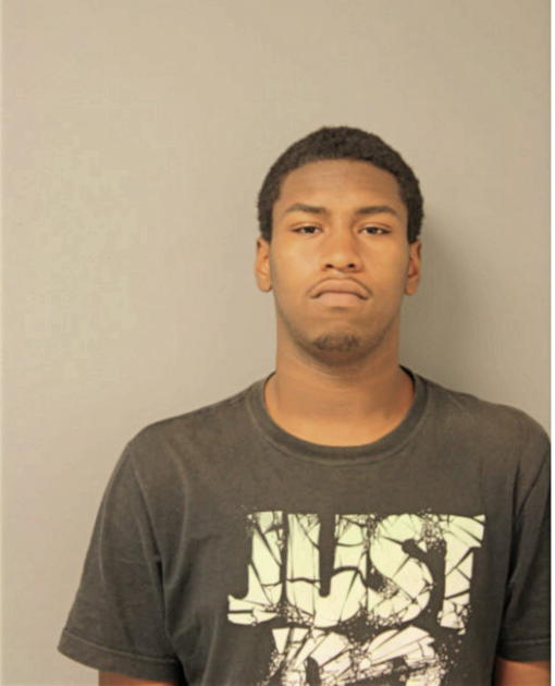 JUSTIN LEE, Cook County, Illinois