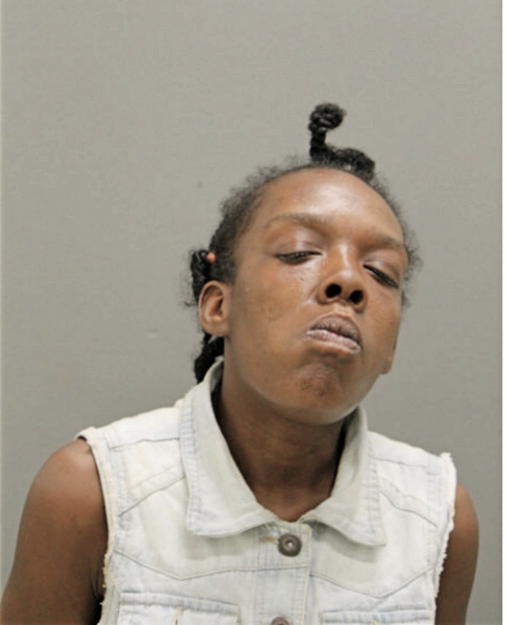 IVY E LIGHTFOOT, Cook County, Illinois