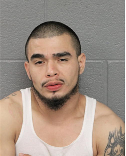 RICARDO MARTINEZ, Cook County, Illinois