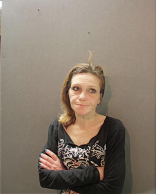 DARCY C MATHEW, Cook County, Illinois