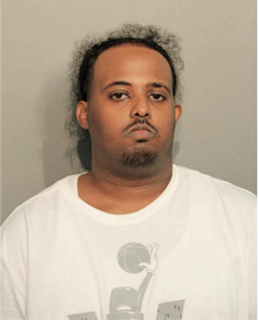ALI MOHAMED, Cook County, Illinois