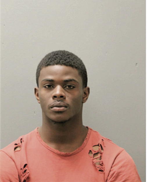 TYLER M NEAL, Cook County, Illinois