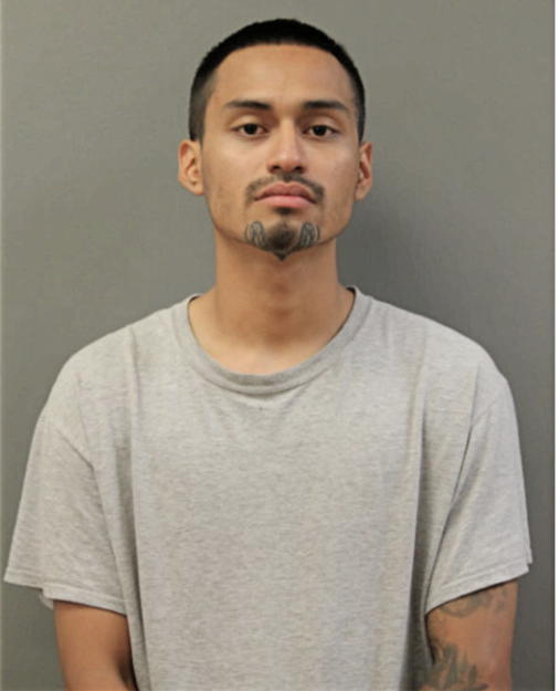 EDWIN ORTIZ, Cook County, Illinois