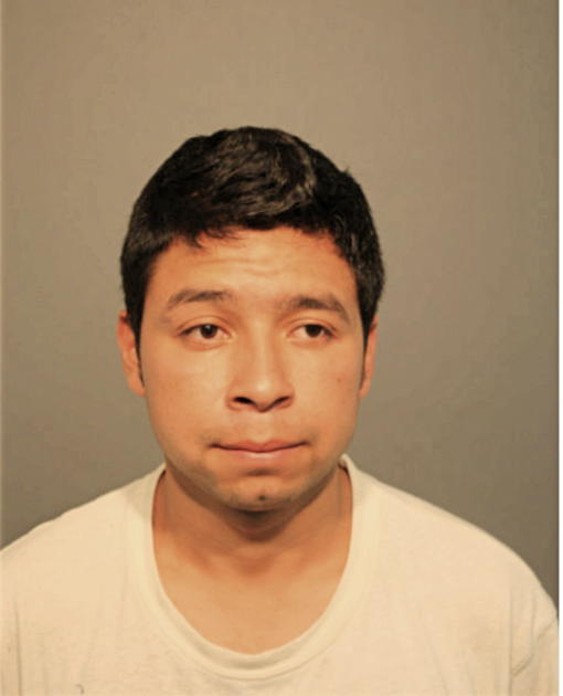 JULIO L PEREZ, Cook County, Illinois