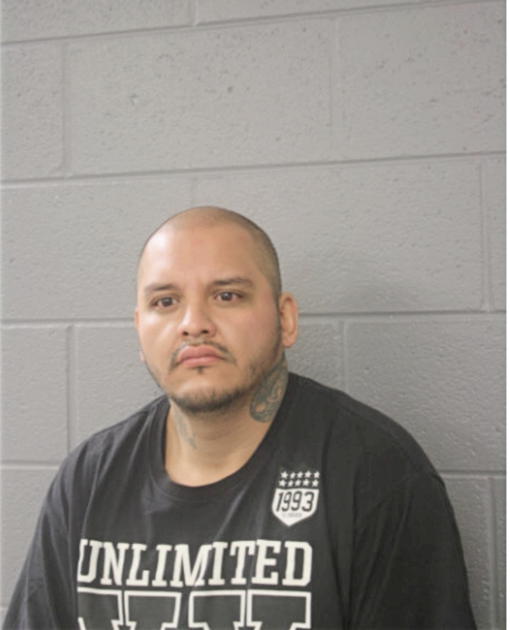MARCELINO MATEO RUIZ, Cook County, Illinois