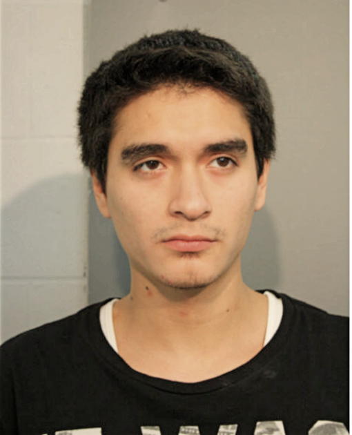 HUGO SIERRA, Cook County, Illinois