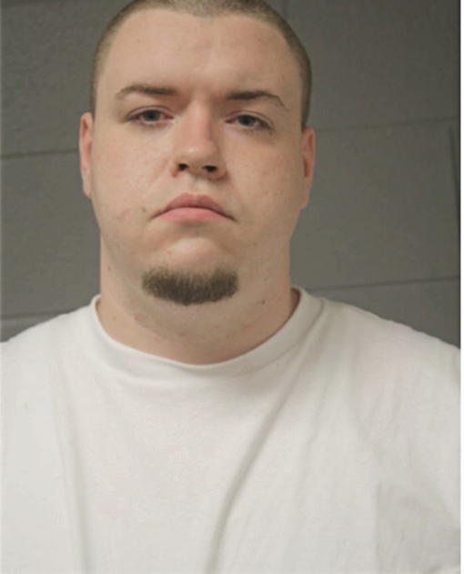 BRIAN W STARK, Cook County, Illinois