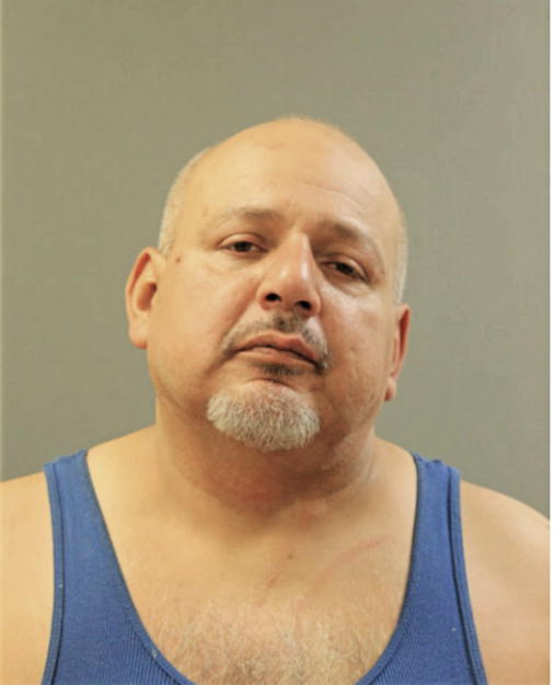 RONALD J YBARRA, Cook County, Illinois