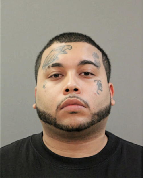 NATHANIEL D ALVARADO, Cook County, Illinois
