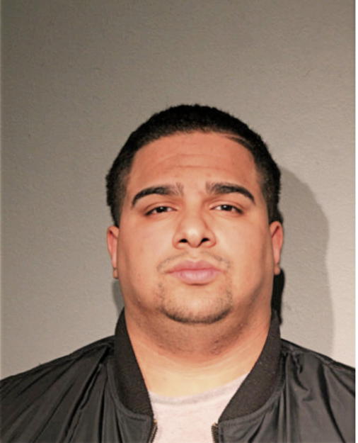 MICHAEL A ARCE, Cook County, Illinois