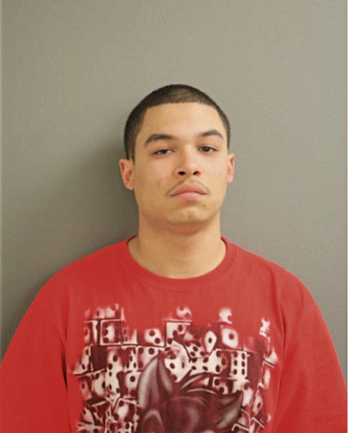 NELSON O AVILES, Cook County, Illinois