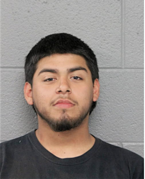 DAMIEN A CHAVEZ, Cook County, Illinois
