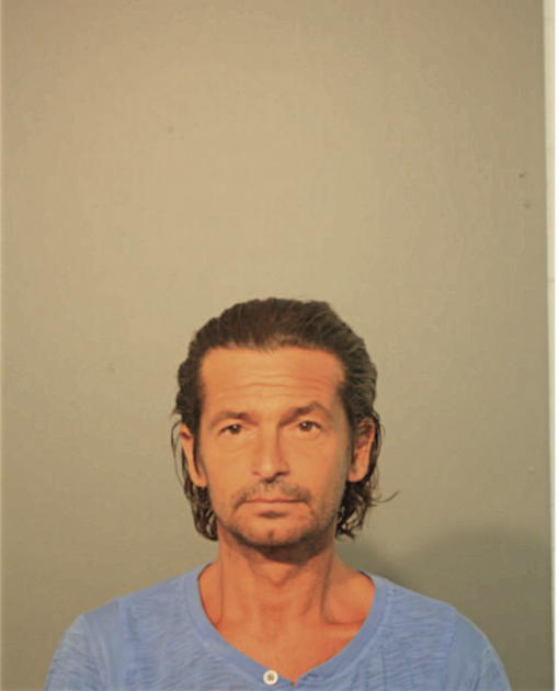 SEBASTIAN CRISAN, Cook County, Illinois