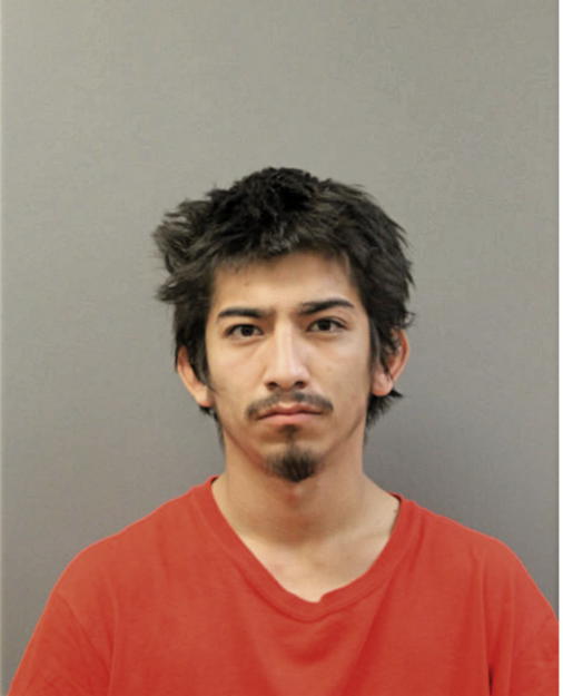 JULIO FLORES, Cook County, Illinois