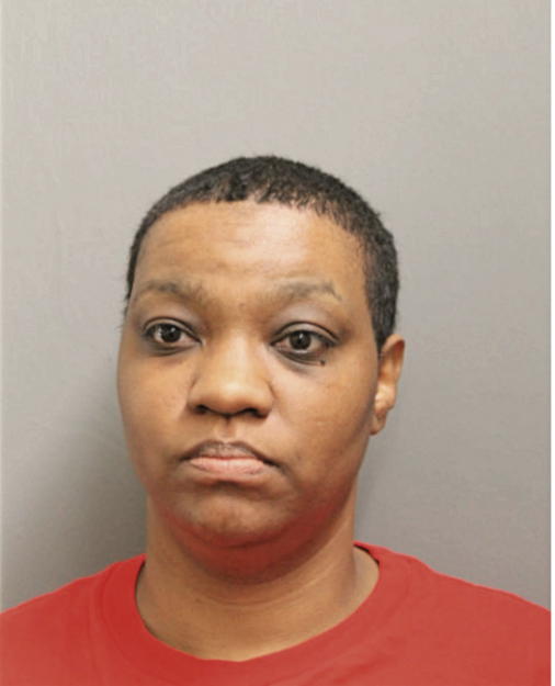 ERICA D FREEMAN-ANDERSON, Cook County, Illinois