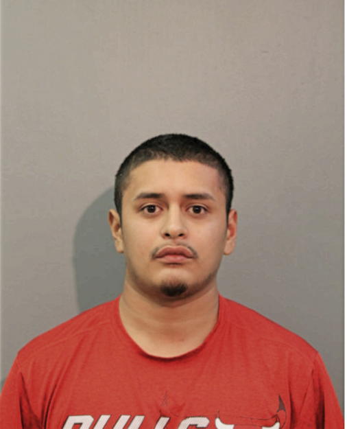 MICHAEL A FREYTES, Cook County, Illinois