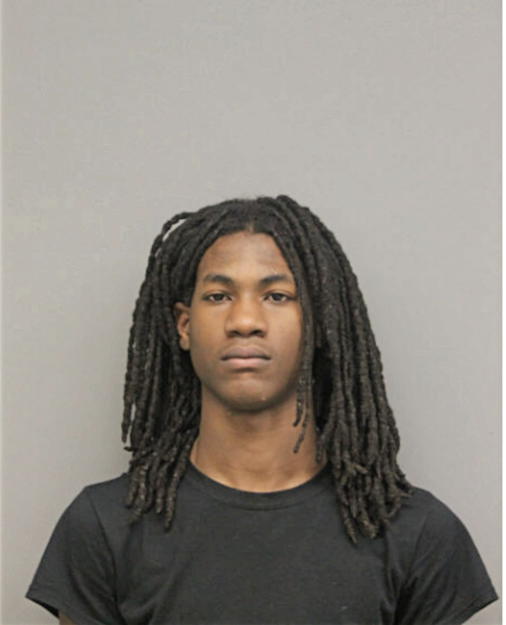 JOSHUA R HAYES, Cook County, Illinois