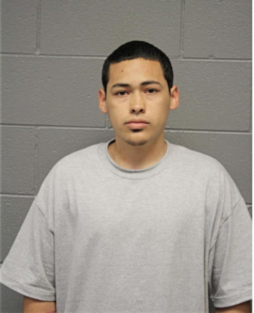 LUIS HERRERA, Cook County, Illinois