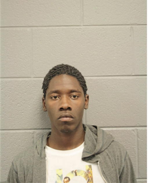 ANTHONY J HUDSON, Cook County, Illinois