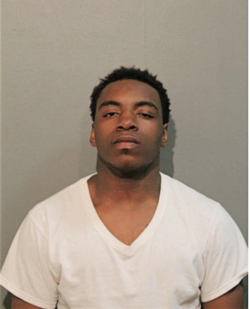 MICHAEL E HULEY, Cook County, Illinois