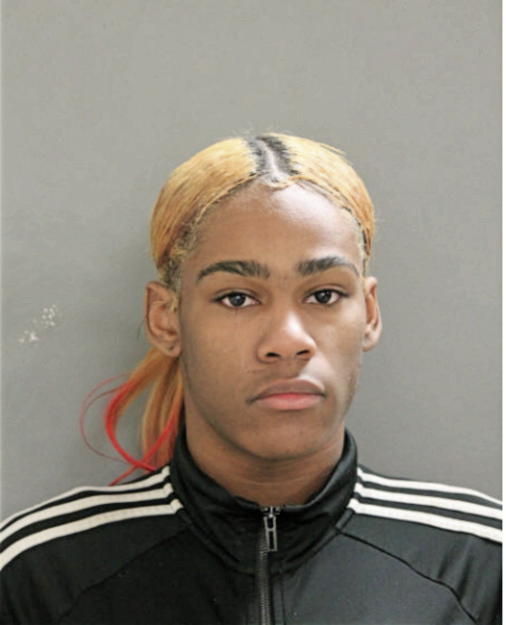 CHRISTOPHER D JACKSON, Cook County, Illinois