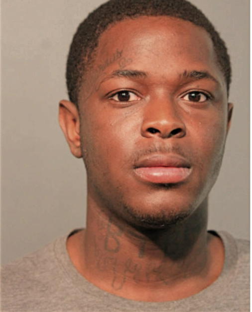 EARNEST JAMES, Cook County, Illinois