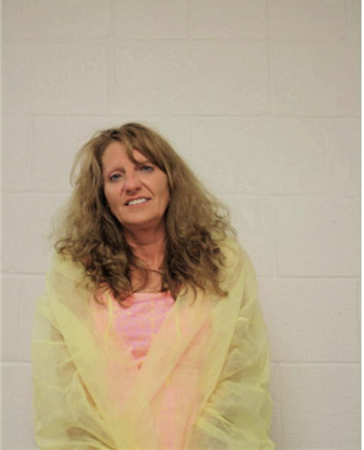 CAREY A JANIK, Cook County, Illinois