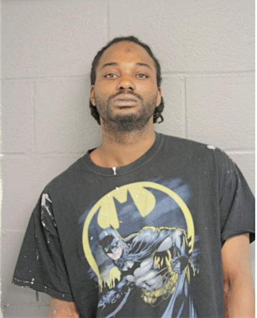 ROBERT J JOHNSON, Cook County, Illinois