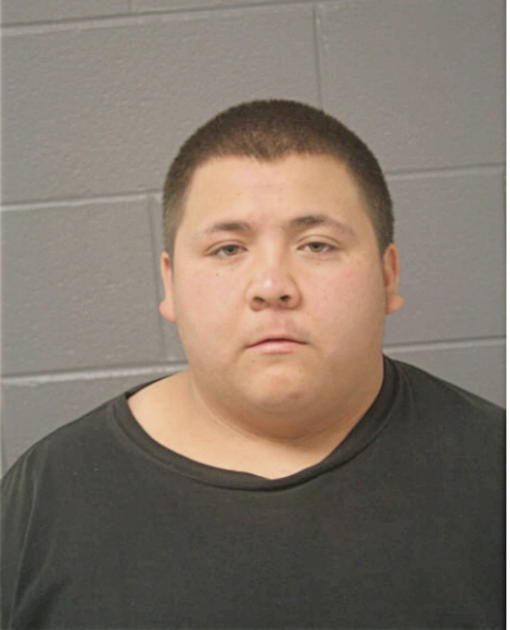 EVAN M MARTINEZ, Cook County, Illinois