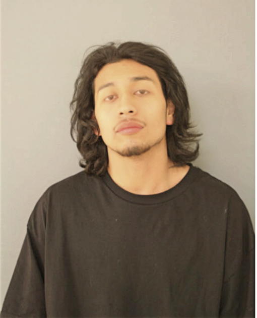CARLOS A MENDEZ, Cook County, Illinois