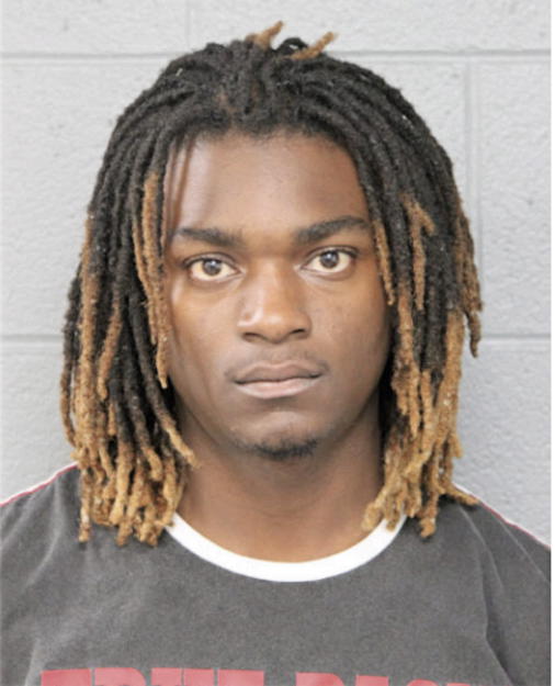 DARYL L PAGE, Cook County, Illinois