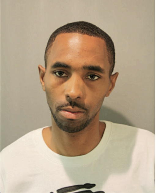 KENTRELL L RAY, Cook County, Illinois