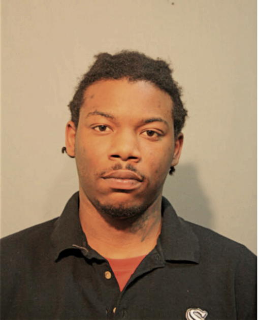 PERRY L ROBINSON, Cook County, Illinois