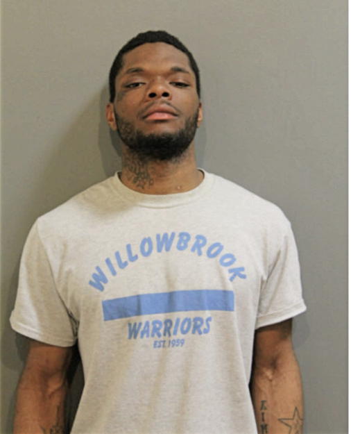 DANIEL J ROWE, Cook County, Illinois
