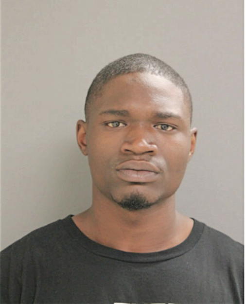 DAVID I SCOTT, Cook County, Illinois
