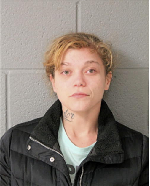 TAYLOR P STREITMATTER, Cook County, Illinois