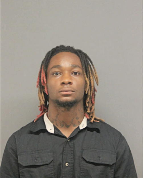 HOWARD E WILLIAMS, Cook County, Illinois