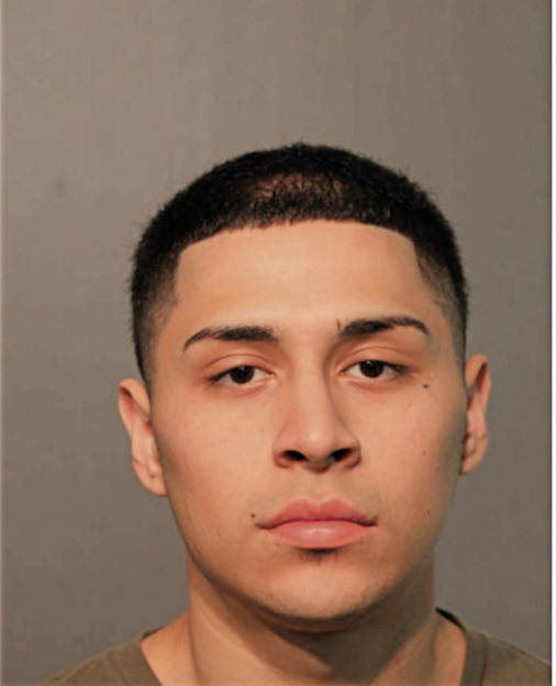LUIS M ALFARO, Cook County, Illinois