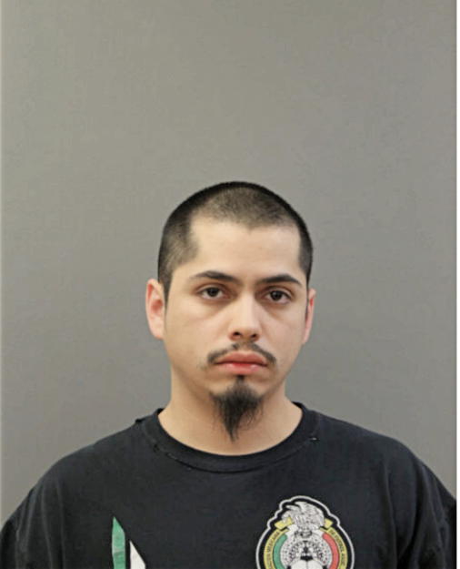 MANUEL BAILON, Cook County, Illinois