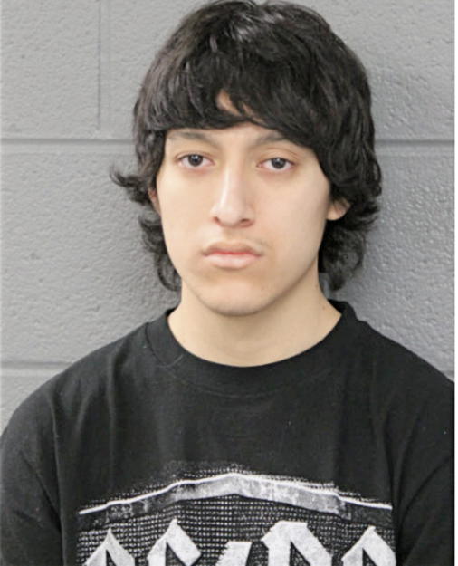 MARCOS CARMONA, Cook County, Illinois