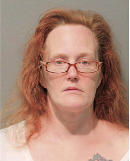 JENNA R FINN, Cook County, Illinois