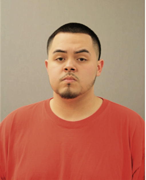 ANDY GARCIA, Cook County, Illinois