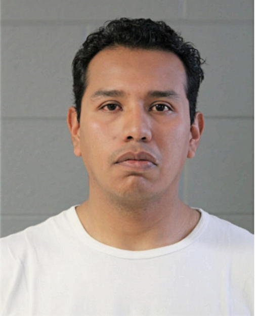 JUAN C GARCIA, Cook County, Illinois