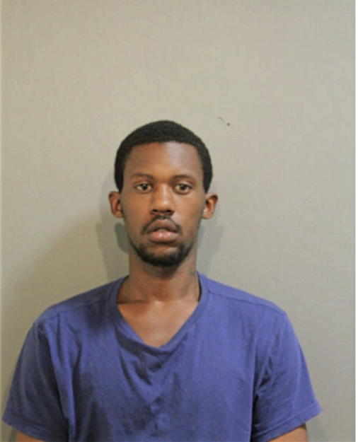 KEVIN R HENNING, Cook County, Illinois