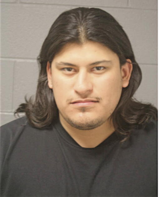 FRANCISCO J LOPEZ, Cook County, Illinois